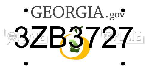 3ZB3727 Georgia License Plate