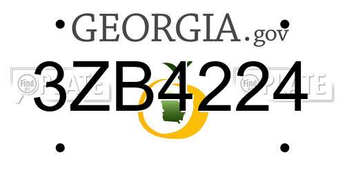 3ZB4224 Georgia License Plate