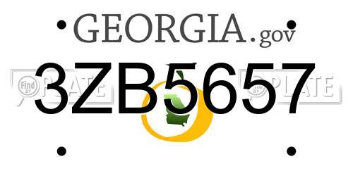 3ZB5657 Georgia License Plate