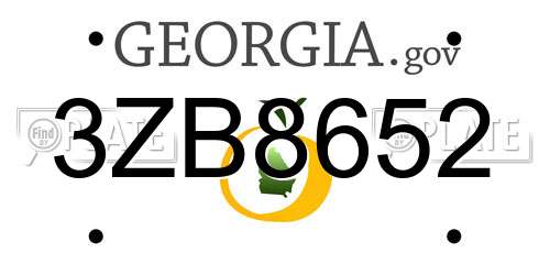 3ZB8652 Georgia License Plate