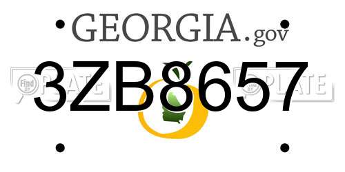3ZB8657 Georgia License Plate