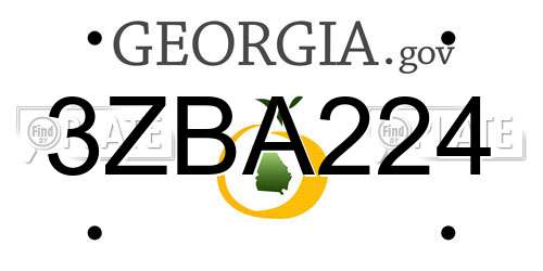 3ZBA224 Georgia License Plate