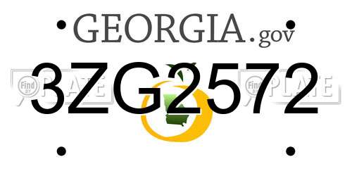 3ZG2572 Georgia License Plate