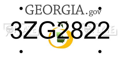 3ZG2822 Georgia License Plate