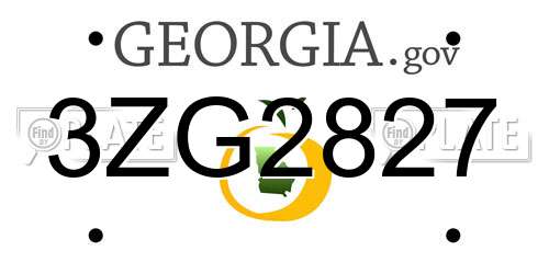 3ZG2827 Georgia License Plate