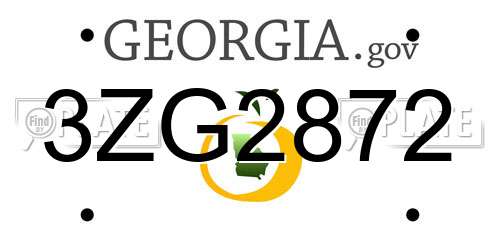 3ZG2872 Georgia License Plate