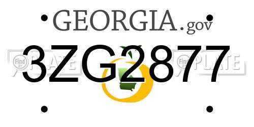 3ZG2877 Georgia License Plate