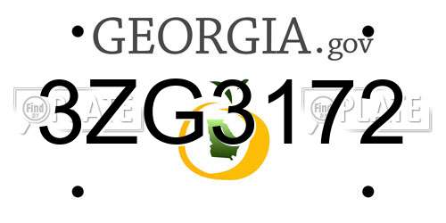 3ZG3172 Georgia License Plate