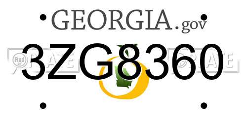 3ZG8360 Georgia License Plate