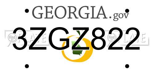3ZGZ822 Georgia License Plate