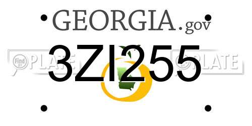3ZI255 Georgia License Plate
