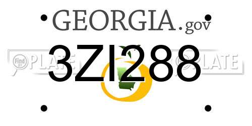 3ZI288 Georgia License Plate