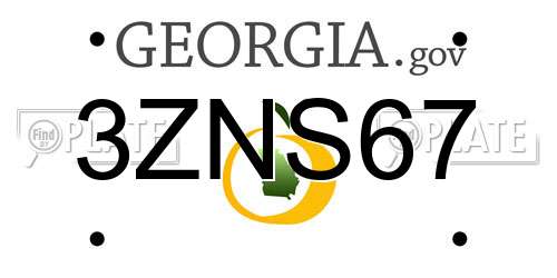 3ZNS67 Georgia License Plate