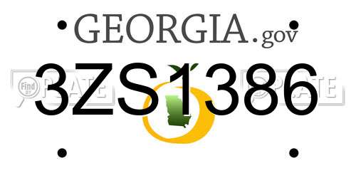 3ZS1386 Georgia License Plate