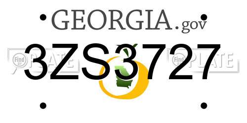 3ZS3727 Georgia License Plate