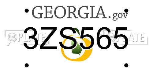 3ZS565 Georgia License Plate