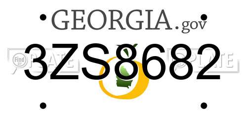 3ZS8682 Georgia License Plate