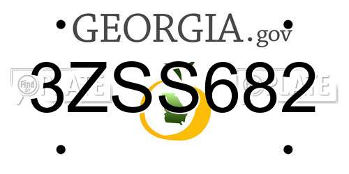 3ZSS682 Georgia License Plate