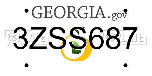 3ZSS687 Georgia License Plate