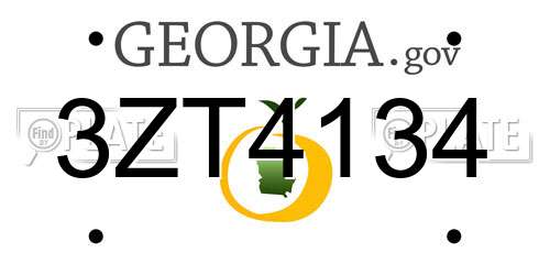3ZT4134 Georgia License Plate