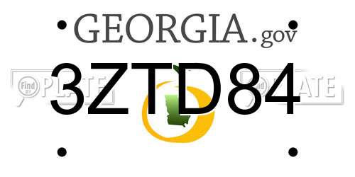 3ZTD84 Georgia License Plate
