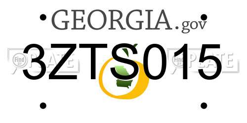 3ZTS015 Georgia License Plate