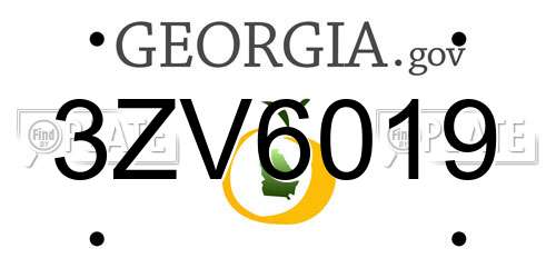 3ZV6019 Georgia License Plate