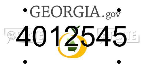 4012545 Georgia License Plate
