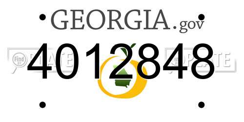4012848 Georgia License Plate