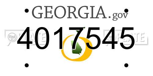 4017545 Georgia License Plate