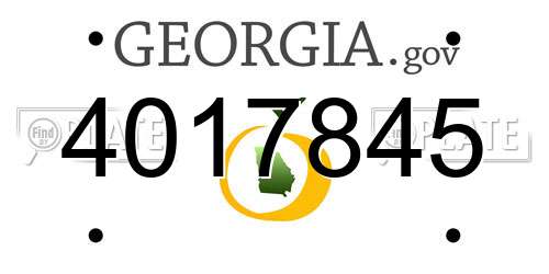4017845 Georgia License Plate