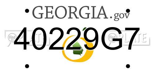 40229G7 Georgia License Plate