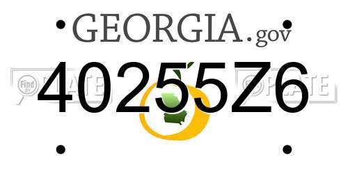 40255Z6 Georgia License Plate