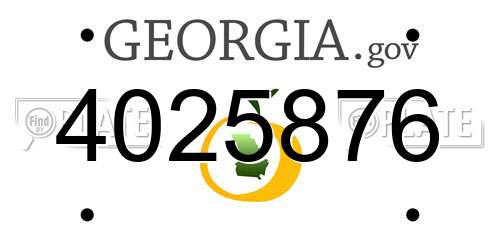 4025876 Georgia License Plate
