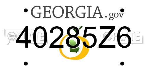 40285Z6 Georgia License Plate