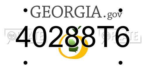 40288T6 Georgia License Plate
