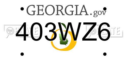 403WZ6 Georgia License Plate