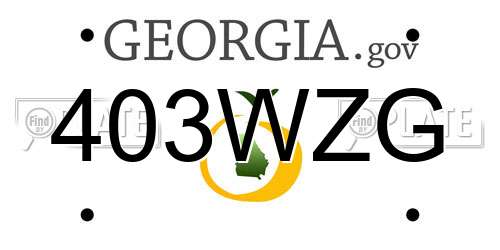 403WZG Georgia License Plate