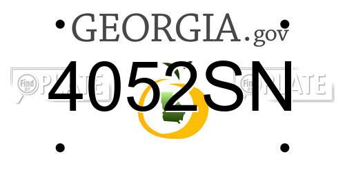 4052SN Georgia License Plate