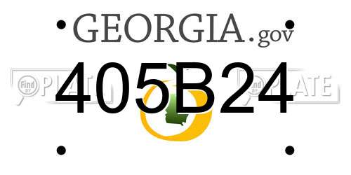 405B24 Georgia License Plate