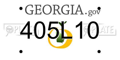 405L10 Georgia License Plate