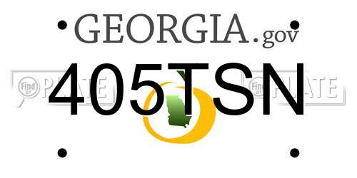 405TSN Georgia License Plate