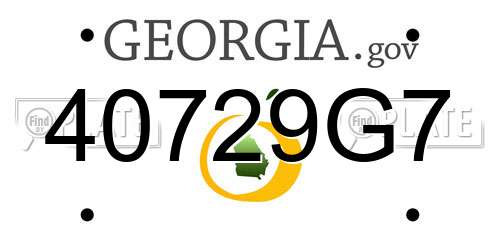 40729G7 Georgia License Plate