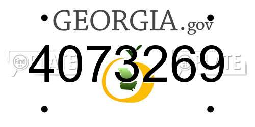 4073269 Georgia License Plate