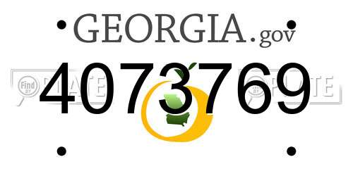 4073769 Georgia License Plate