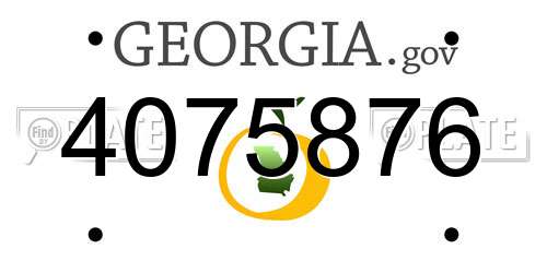 4075876 Georgia License Plate
