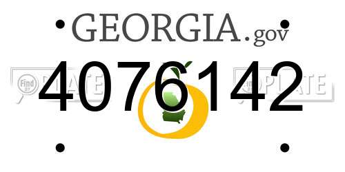 4076142 Georgia License Plate