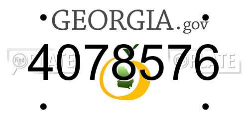 4078576 Georgia License Plate