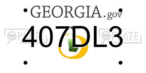 407DL3 Georgia License Plate