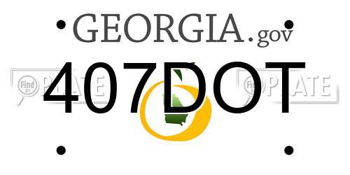 407DOT Georgia License Plate